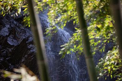 Steam十一月硬件调查：RTX3060显卡仍稳居榜首位置